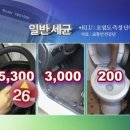 불당스팀