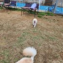 멍클라쓰 이미지