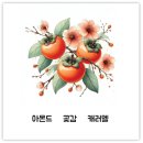 엘;엔젤 이미지