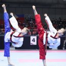 용맹태권도 이미지