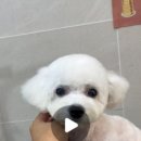 몽아뜨 이미지