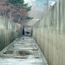 생츄어리(Sanctuary) 네이버블로그