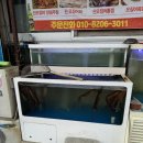 산오징어양푼포차
