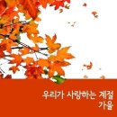 가을은 바람의 계절 이미지