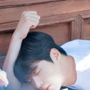 정**-19 이미지