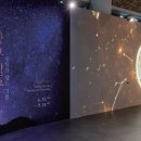 민화 속 반려동물 이미지