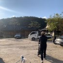 삼하리 | [서울근교 애견동반카페] 대형견도 가능한 삼하리카페 후기🐶 오프리쉬 운동장+산책코스까지 완벽!