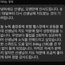 코어무브 네이버블로그