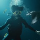 데이브 스튜디오 이미지