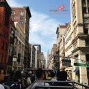 소호코리아 이미지