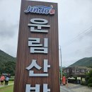 2024.07.11. 전남 진도 운림산방 이미지