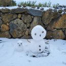 소서제주 7월2일 이미지