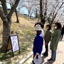 보문달 이미지