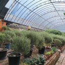 가온하우스 이미지