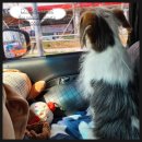 CU 참미소점 이미지