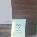 순복이네 스핑크스 네이버블로그