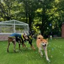 문화빌라 C동 이미지