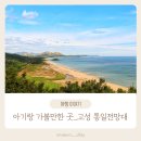 DMZ박물관 | [고성 아기랑 가볼 만한 곳]고성 통일전망대 &amp; DMZ 박물관 여행 후기 🌿