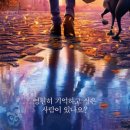 (주)코코 이미지