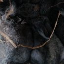 우리집농장 이미지