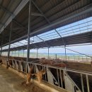 새벽목장 이미지