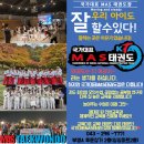 국가대표 샛별태권도장 이미지