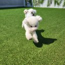 경민메디칼 이미지