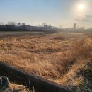 주택나라공인중개사사무소 이미지