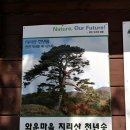 (제9차) 자연보호산악회 2023년07월10일(월) 전북 남원시 산내면 (지리산 뱀사골계곡13.7m)산행 -자연보호산악회- 이미지