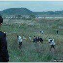 브이아이피독 이미지