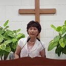 양점순 이미지