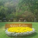 치앙마이 카페 라이딩 Valley Cafe 주말 사람도 없고 조용한 숲속 카페 이미지