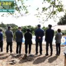 무지개 축사 이미지