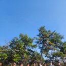 하늘환경 이미지