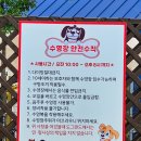 랜드글램핑 이미지