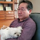 행복한멍냥이