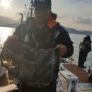 남해쭈꾸미 이미지