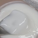화이트코코