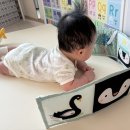 애터미청량리믿음센타 | 단두 두상교정 진단병원 지오헬멧 비바3D 방문기 추천인코드