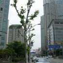 정자동 93-34 이미지