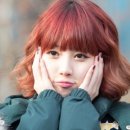 예담 Daum카페