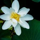 봉담호수공원 이미지