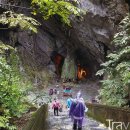 베트남 향기 이미지