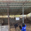 농부네 텃밭 민박 이미지