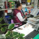 힘내라약국 이미지