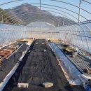 강선농장 이미지