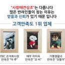 대형견장례식장 대형견화장터 고객평점 후기좋은 24시간 대형견장례 대형견화장 전문 허가업체.