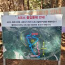 솔오름전망대 | 제주 오름 탐방 &#34;솔오름&#34; 탐방 후기