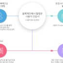 써트 이미지