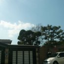 빨간기와집 이미지